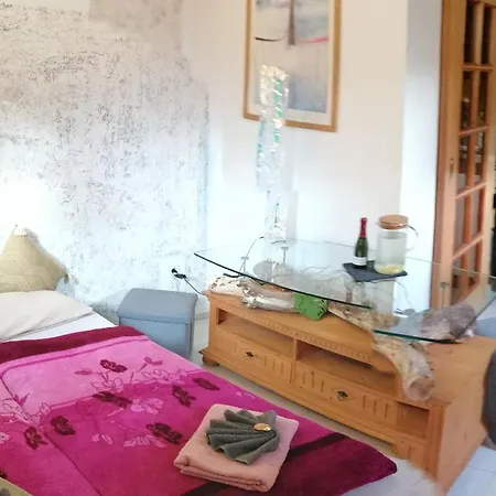 Kleines Im Eichenwaeldchen, 1 Kueche Bad Apartamento Friedrichsgrun